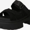 Ugg Sandalen Met Hak Muiltjes Ashton Dames Zwart -Ugg Verkoopwinkel 6fa65eac1471a436cbc9fea4b02802a3