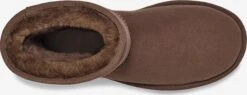 Ugg Laarzen Snowboots Dames Bruin -Ugg Verkoopwinkel 7cc2f879cab2c9a332a1bed4909b200c
