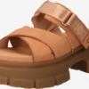 Ugg Sandalen Met Hak Muiltjes Ashton Dames Bruin -Ugg Verkoopwinkel 8f8d46306ff24dd01179df327b3b9e01