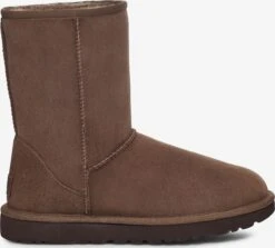 Ugg Laarzen Snowboots Dames Bruin -Ugg Verkoopwinkel a98e957c0fbe7da28a86505a8e143a94