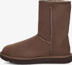 Ugg Laarzen Snowboots Dames Bruin